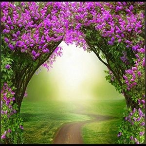 Meet your Posher, Grisela